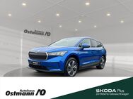 Skoda Enyaq, 85 Loft 82kWh 230V, Jahr 2024 - Niestetal