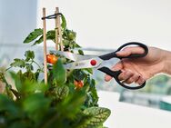 Zwilling Haushaltsschere TWIN L, (1-tlg), Rostfreier Spezialstahl, Ergonomisch, 23 cm, schwarz