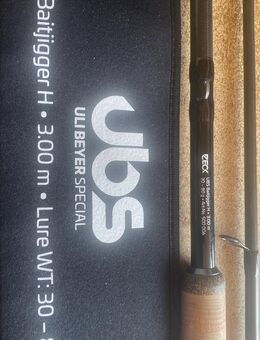 Spinnrute Baitjigger H 300 / 80 - Gladbeck