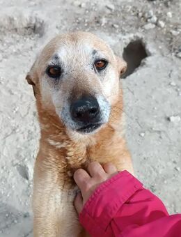 Mia nur lieb und freundlich Alb - Ludwigshafen (Rhein)