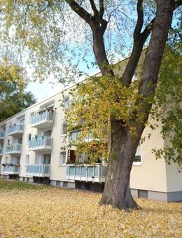 Weiträumige, umfassend sanierte Singlewohnung im beliebten Schüren - Dortmund