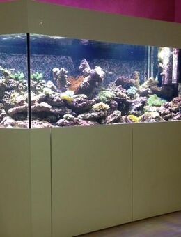 Meerwasseraquarium, komplett, ca. 1000 l - Beelen