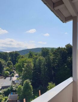 Helle 3-Raum Wohnung mit Balkon und Blick ins Grüne! - Aue