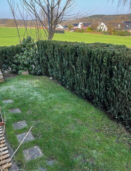 *** HITTFELD-EDDELSEN ! * SCHÖNE DOPPELHAUSHÄLFTE ÜBER 2 EBENEN * SONNIGE TERRASSE * GARTEN * EBK * VOLLBAD * 2 STELLPLÄTZE * RUHIGE LAGE *** - Seevetal