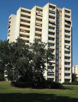 Gemütliche 3-Zimmer-Wohnung in stadtnaher Lage - Frankenthal (Pfalz)