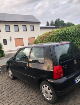 VW Lupo, kleiner Schwarzer - Bad Wünnenberg