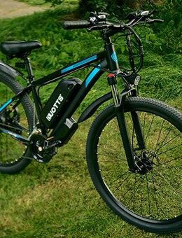 E-Bike Duotts C29 750W - Nürnberg