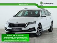 Skoda Octavia, 1.5 TSI Combi Ambition, Jahr 2024 - Gersthofen