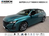 Peugeot 308, 1.2 130 SW Active Pack H, Jahr 2023 - Ahrensfelde