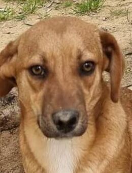 Kikka - Rieden (Rheinland-Pfalz)