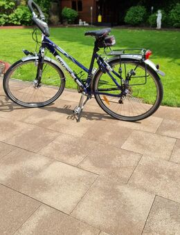 RED BULL Black Forest 3 - Damen-Trekkingrad - Gladbeck