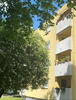 3-Zimmer-Wohnung im Dachgeschoss mit toller Aussicht - Kehl