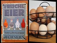 Frische Eier / Hühnereier - Tauche