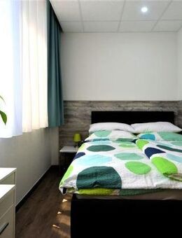 Modernes 1-Zimmer-Apartment, komfortabel & bequem ausgestattet, Innenstadt Offenbach - Offenbach (Main)