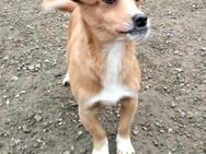 Süsse Julia ♥️ Sucht ihr 4ever Home🏡🙏 - München