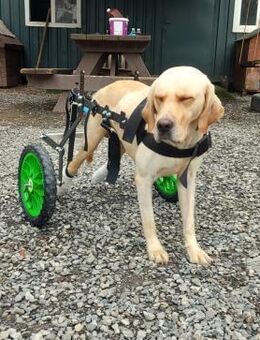 Tako wurde angefahren und ignoriert - Berlin