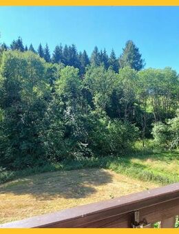 Eine Rarität! Ganz nah an der Natur, Ruhe und Erholung pur ! - Winterberg