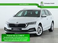 Skoda Octavia, 2.0 TSI Combi Style, Jahr 2024 - Gersthofen