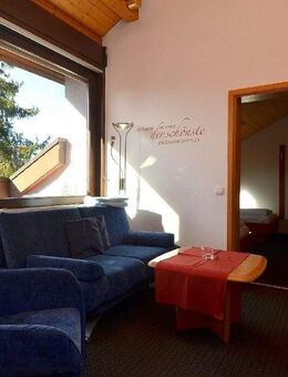 Schönes 2-Zimmer-Apartment in Müllheim mit tollem Ausblick, möbliert - Müllheim