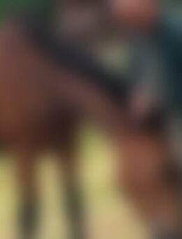 War*** - Dallgow-Döberitz