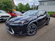 Lexus UX 250h Style Edition - Nürtingen