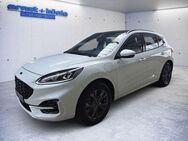 Ford Kuga 2.5 Duratec PHEV ST-LINE AHK PANO LED SHZ - Freiburg (Breisgau)