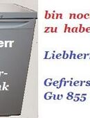 Liebherr Gefrierschrank in 90451