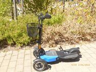 elektroscooter - Karlstadt