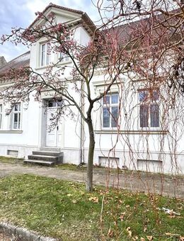 Ein Haus wie kein zweites - charmant, groß, voller Möglichkeiten - in Quellendorf! - Südliches Anhalt