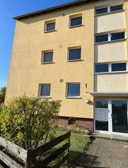 Gemütliche 3-ZW mit Balkon Hochpaterre - Gifhorn