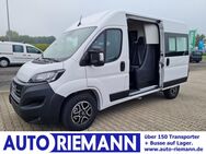 Fiat Ducato, 35 Kasten Doka Maxi L2H2, Jahr 2024 - Cloppenburg