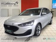 Ford Focus, Cool & Connect, Jahr 2022 - Bad Driburg