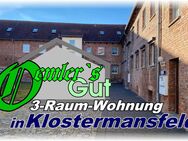 Wohnanlage "Oemler`s Gut" - 3-Raum-Wohnung - Klostermansfeld