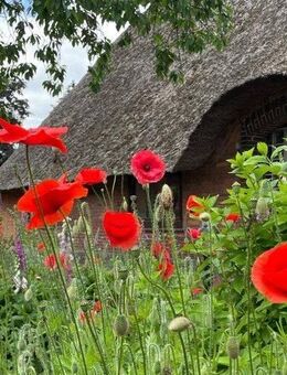 Zwei Häuser auf einem Grundstück - viel Raum für Familien, Generationen oder neue Ideen - Schwanewede