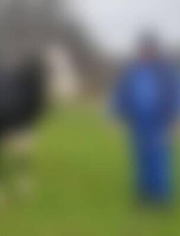 jür*** - Naumburg (Saale)