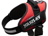 JULIUS-K9 IDC®-Powergeschirr - rot - Größe L: Brustumfang 63 - 85 cm