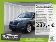 Skoda Kodiaq Style 4x4 TDI*190PS DSG AHK LED R-Kam SHZ - Ruhstorf (Rott)