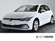 VW Golf, 1.5 TSI VIII Life AppConnect, Jahr 2020 - Braunschweig