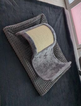 Katzen Kratz Utensil NEU - Wismar