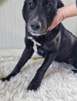 COFFEE ❤ SEHR EILIG! - Langenhagen