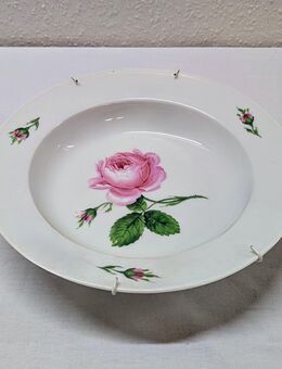 Original Meißen Porzellan Sammelteller Zierteller Wildrose Rose - Mendig