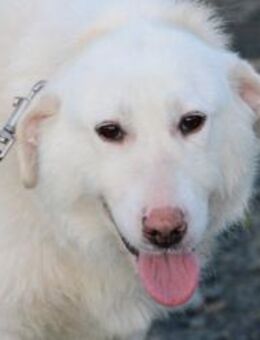 Maly - perfekt für Familie mit Kindern - Lohra