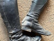 Reitstiefel - Marburg