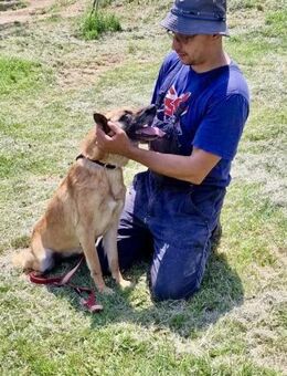 ‼️🆘 RUBY in 91616 Neusitz ‼️🆘 - München
