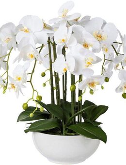 Kunstpflanze Orchidee, Creativ green, Höhe 54 cm