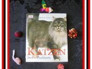 Katzenwissen kompakt Teil II. vermittelt durch 2 Katzenbücher + ein 9-teiliges Katzenspielzeug-Set - Frankfurt (Main)