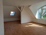 +++ Geräumige Singlewohnung in Seidnitz +++ - Dresden