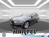 Audi A4, AVANT S-LINE 35 TFSI ( SCHIEB, Jahr 2023 - Osnabrück