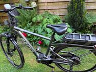 eBike Zemo ZE10 Automatik - Erftstadt
