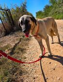 Aunty sucht ihre Menschen in 47445